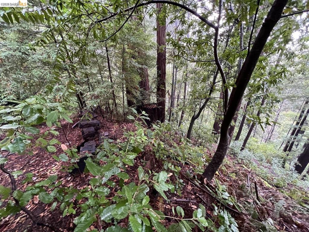 0 Deer Trail Way Property Photo 10