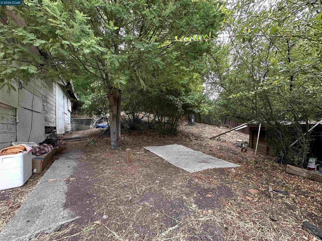 534 La Paloma Rd Property Photo 7