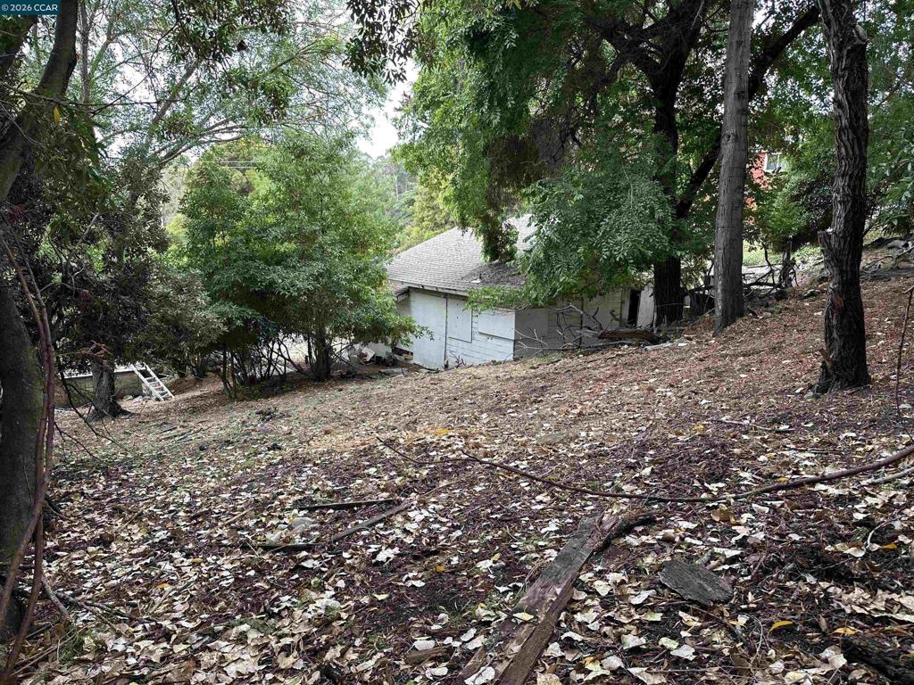 534 La Paloma Rd Property Photo 8