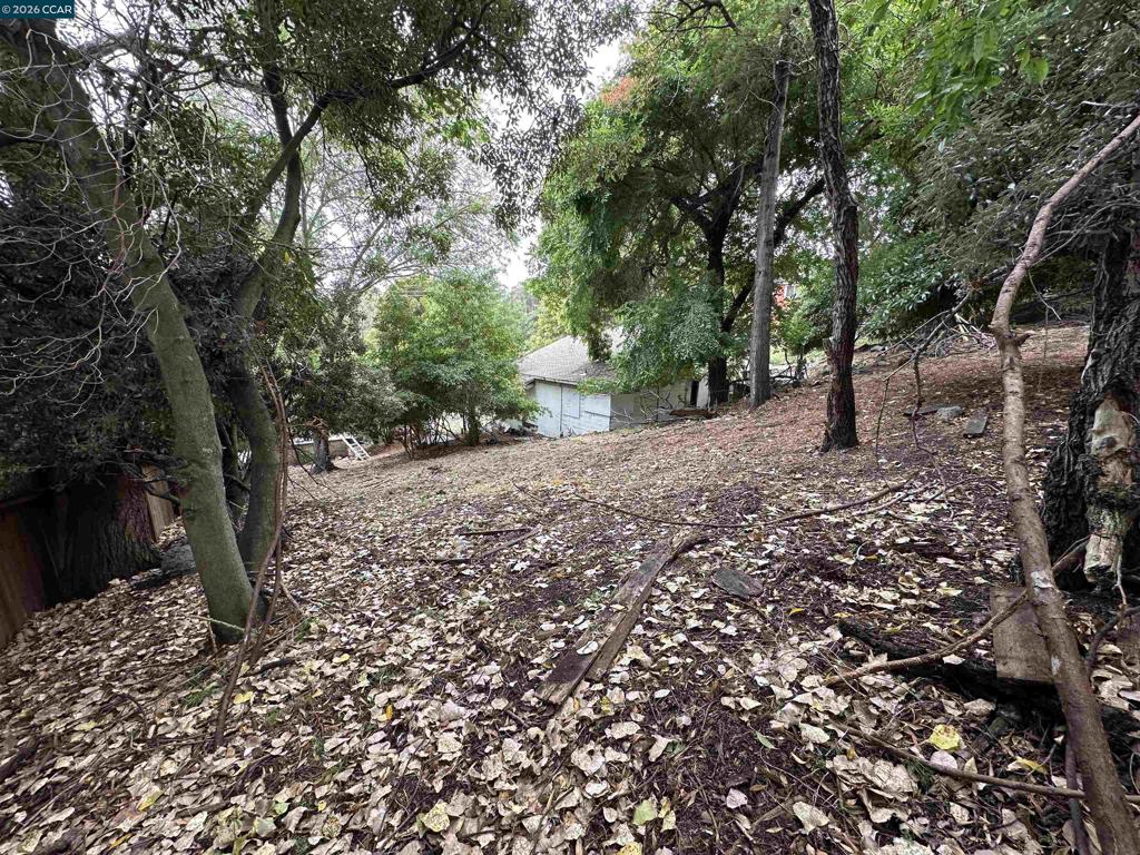 534 La Paloma Rd Property Photo 9