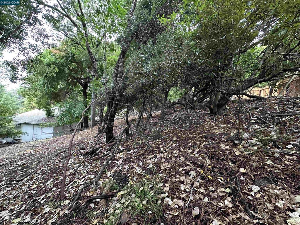 534 La Paloma Rd Property Photo 10