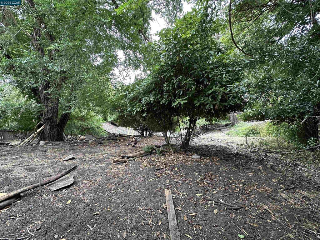 534 La Paloma Rd Property Photo 12