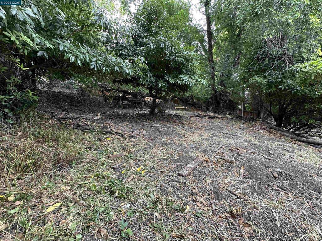 534 La Paloma Rd Property Photo 13
