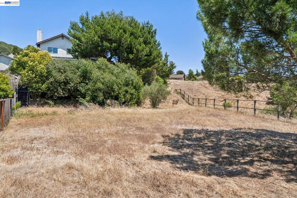 4618 Setting Sun Dr Property Photo 86