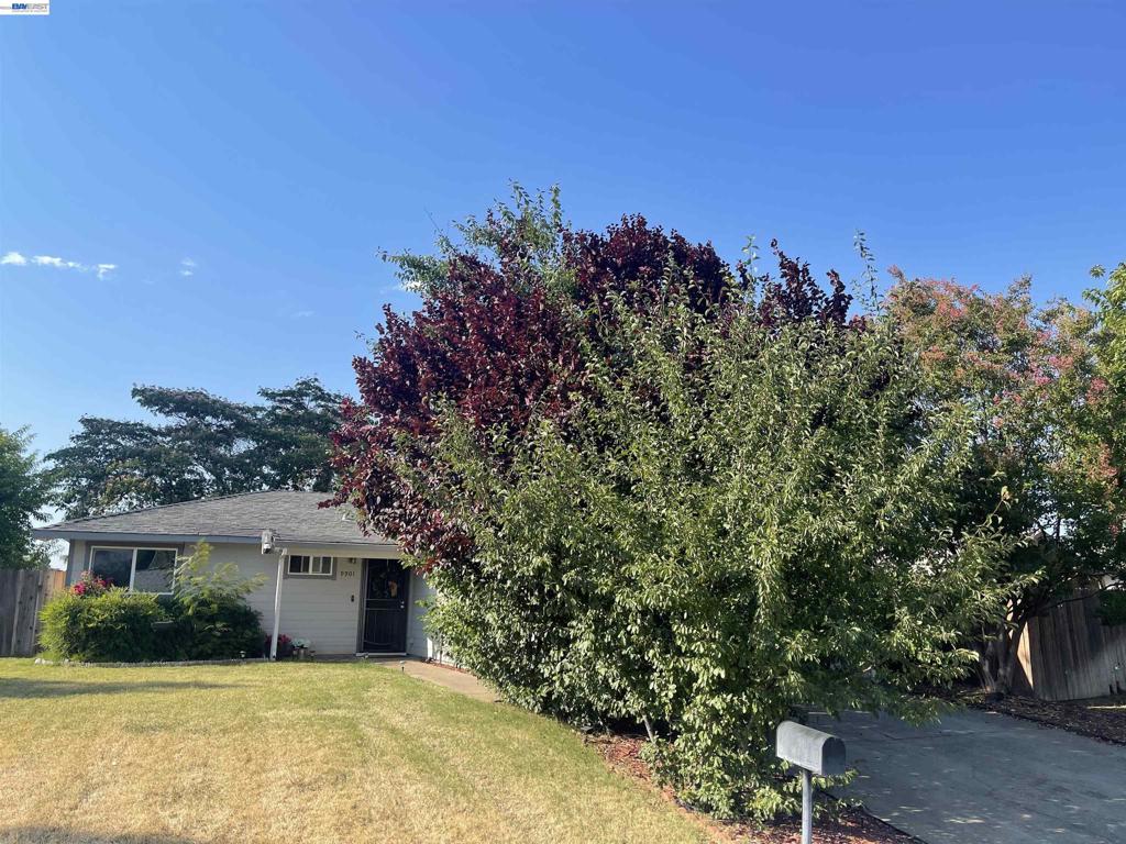 9901 Burline Street Property Photo 10