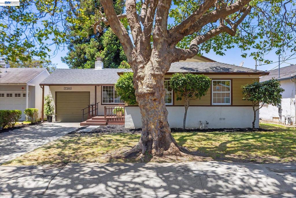 17265 Via Primero Property Photo 1
