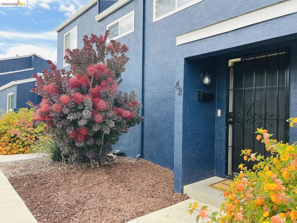 42 El Capitan Ln Property Photo 2