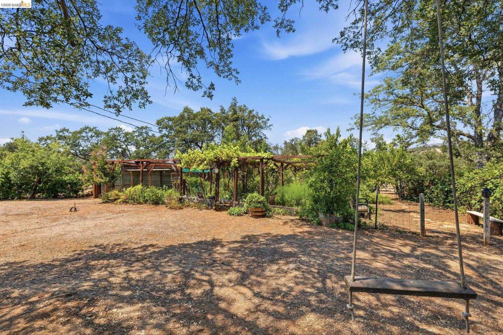 10465 Violetta Way Property Photo 32