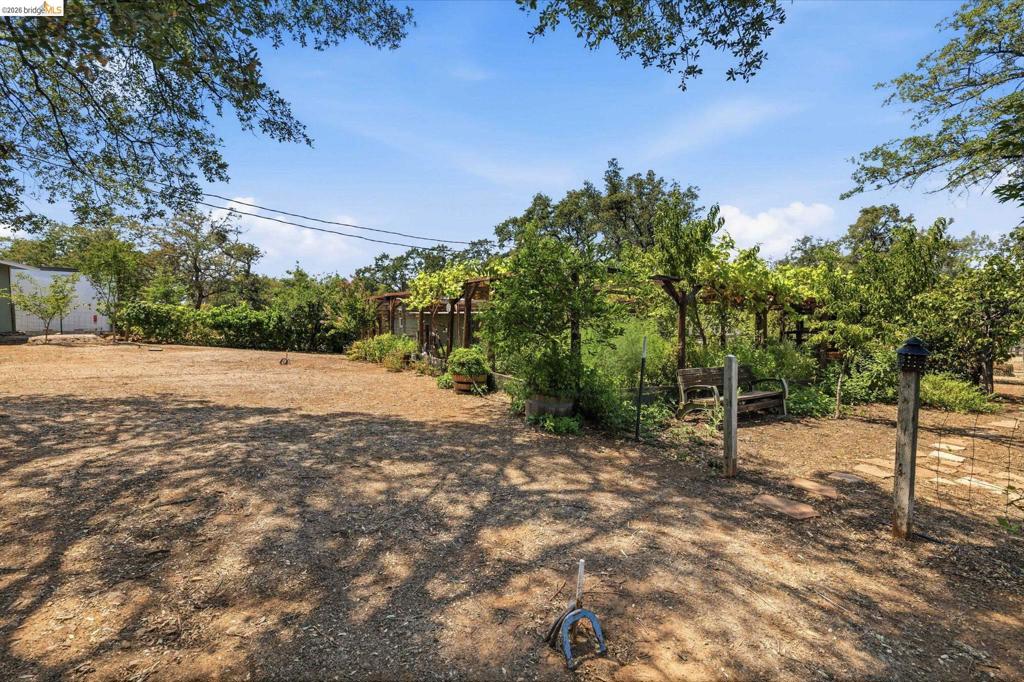 10465 Violetta Way Property Photo 34