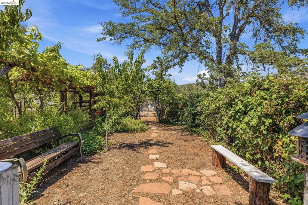 10465 Violetta Way Property Photo 39
