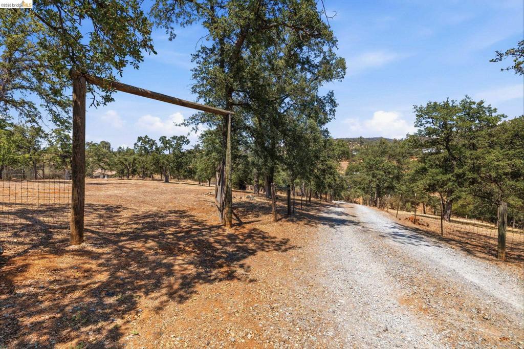 10465 Violetta Way Property Photo 42