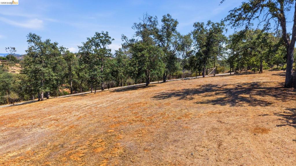 10465 Violetta Way Property Photo 43