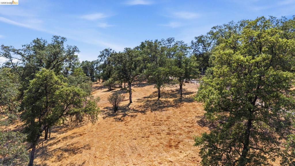 10465 Violetta Way Property Photo 44