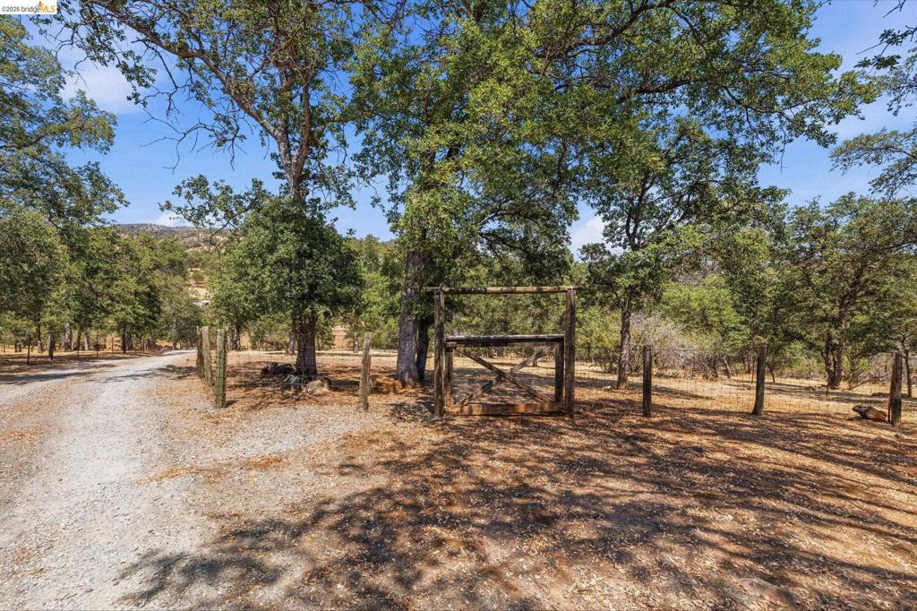 10465 Violetta Way Property Photo 45