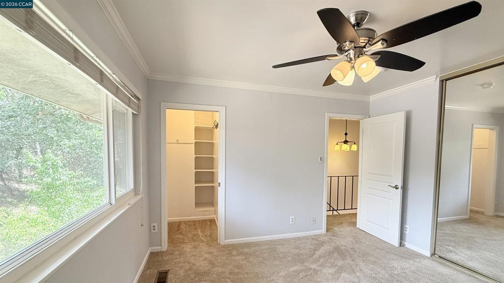 394 Ilo Ln Property Photo 18