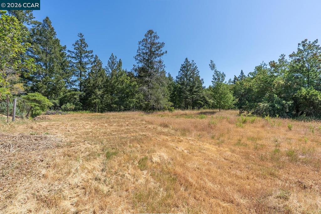 41139192 Property Photo 5