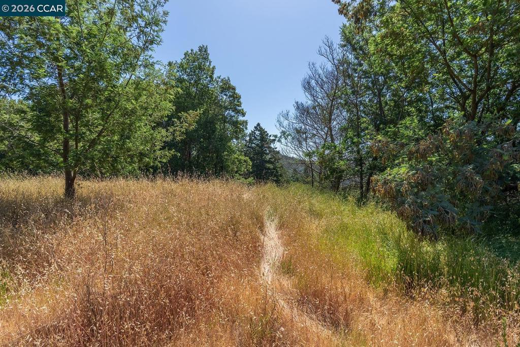 41139192 Property Photo 6