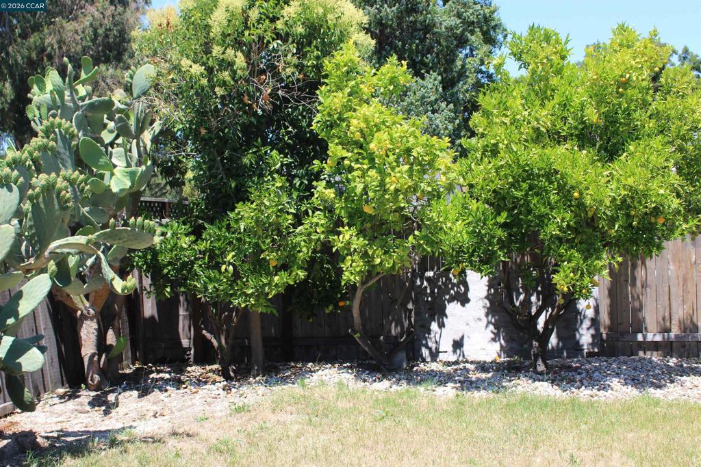 36305 Colbert Pl Property Photo 32