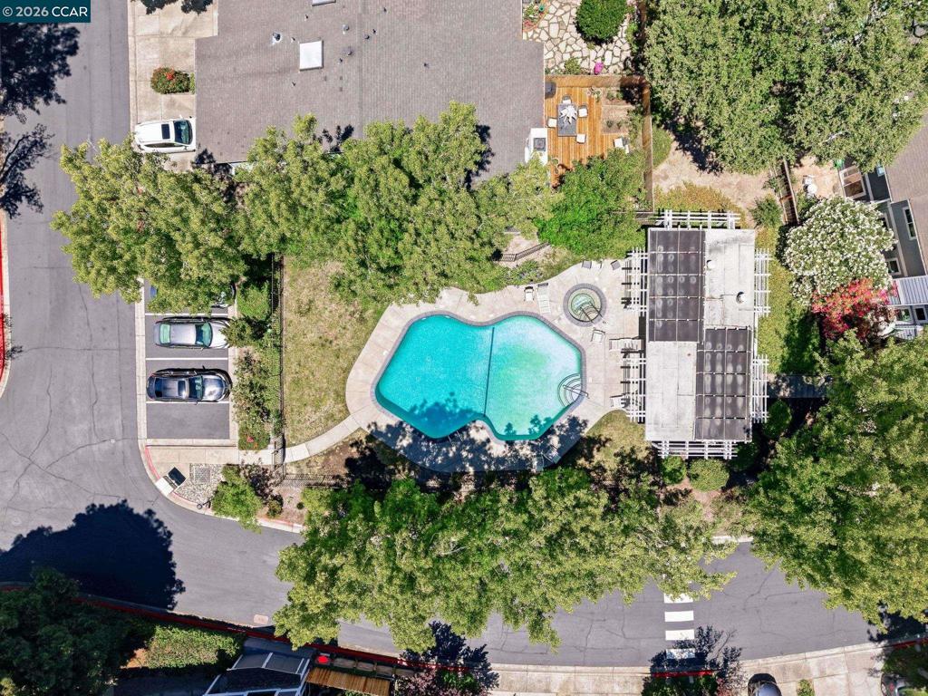 435 Via Royal Property Photo 45