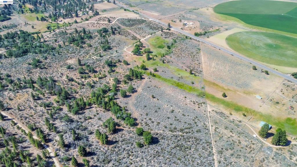452 Us Hwy 395 Property Photo 33