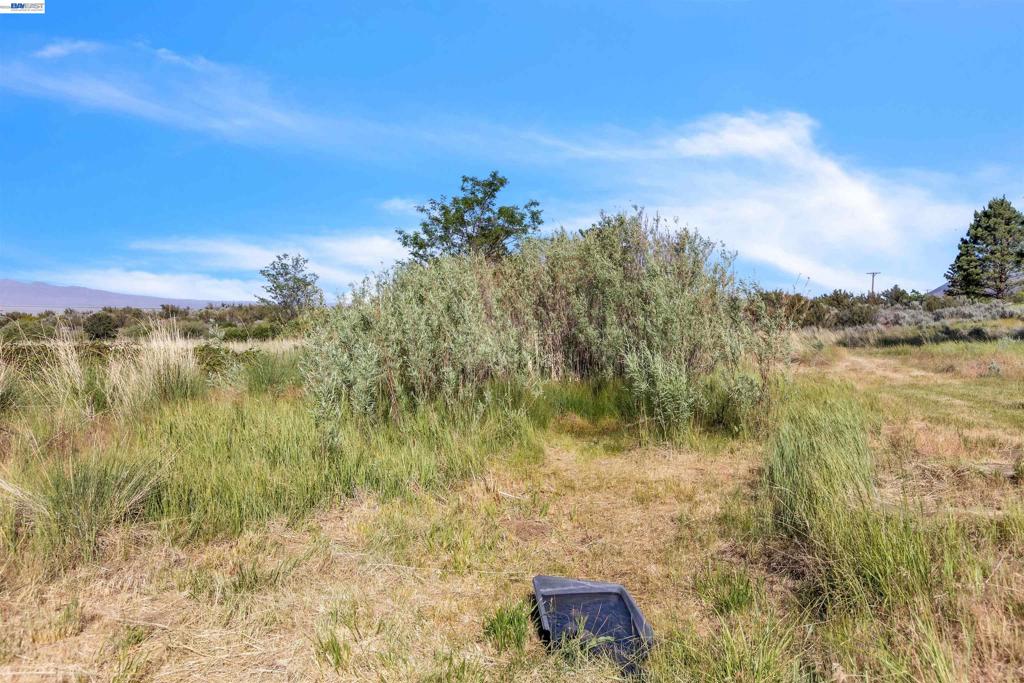 452 Us Hwy 395 Property Photo 55