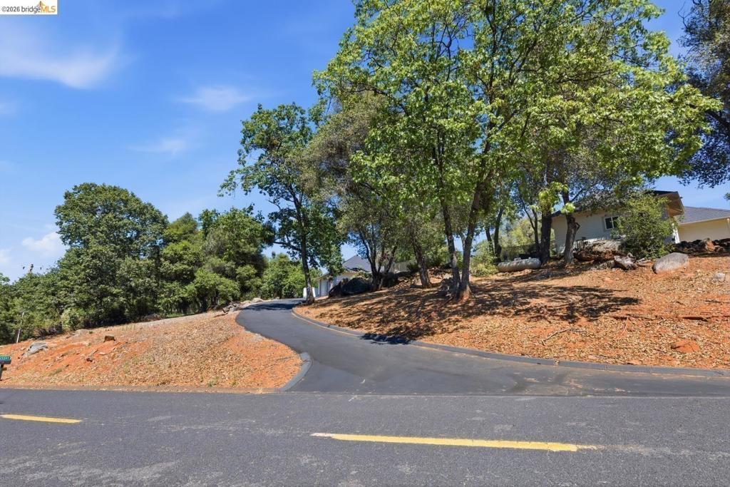 15620 Curtis Cir Property Photo 16