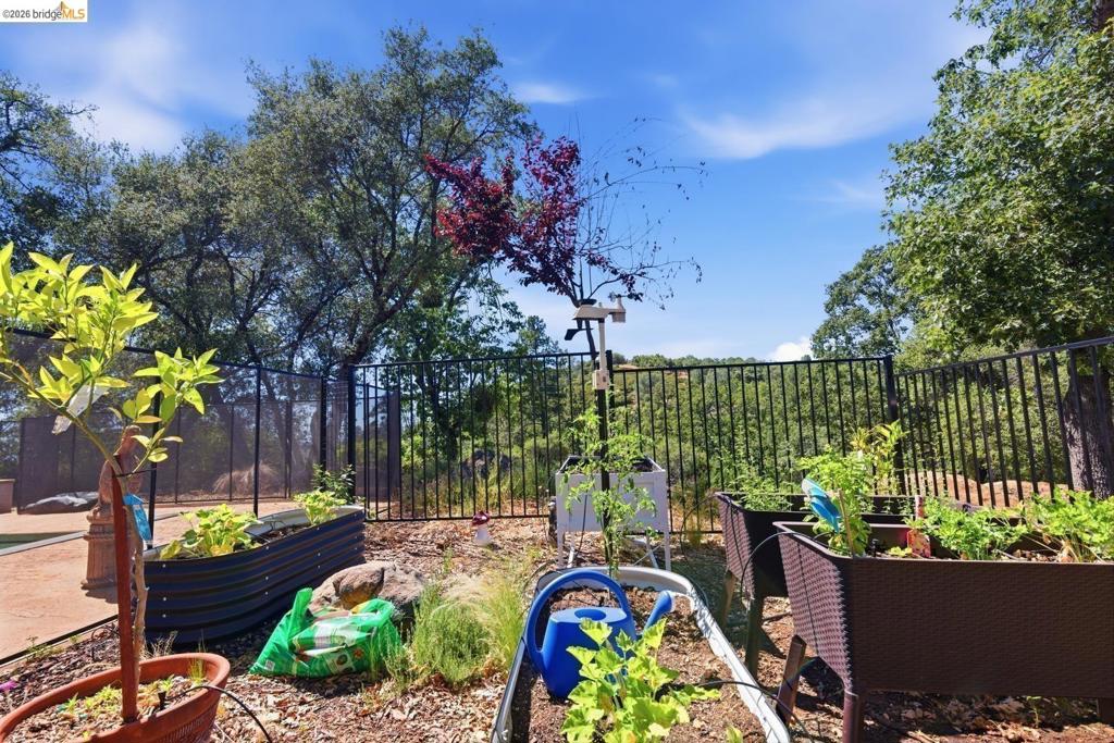 15620 Curtis Cir Property Photo 18