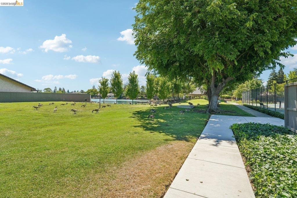 3768 Wood Duck Cir Property Photo 37