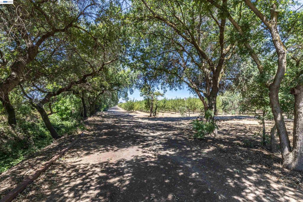 3515 Kellogg Creek Rd Property Photo 2