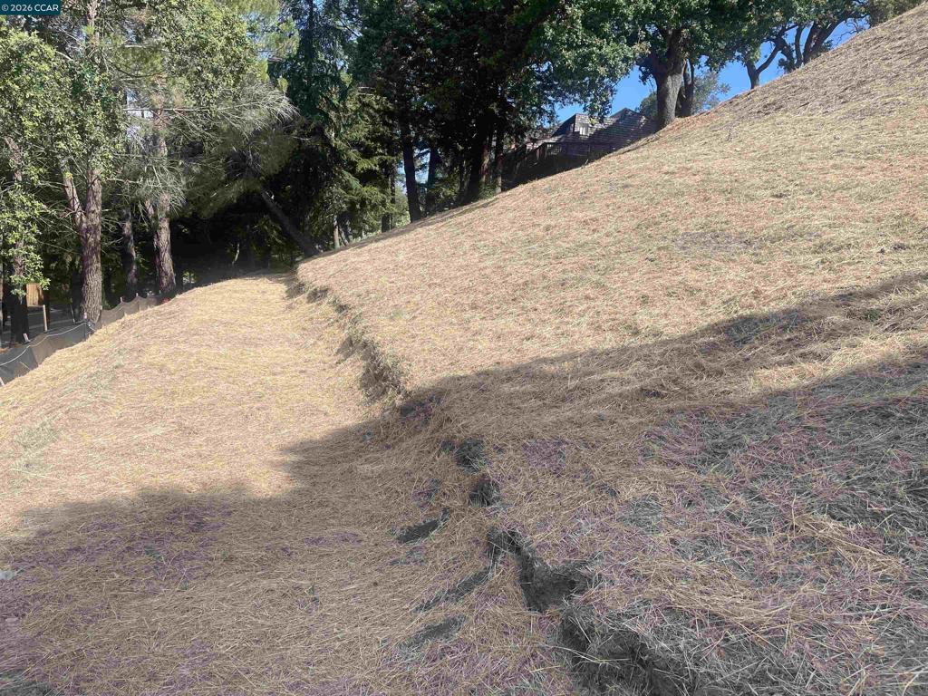 1500 Reliez Valley Rd Property Photo 3