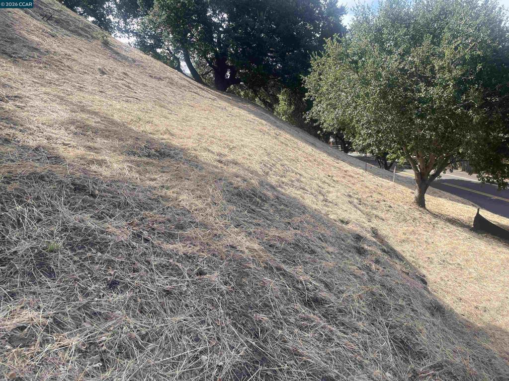 1500 Reliez Valley Rd Property Photo 5
