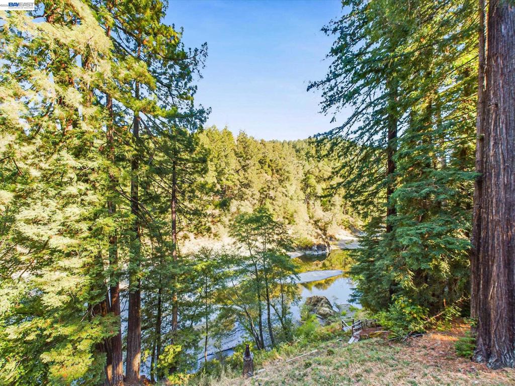 2089 St Highway 101 Property Photo 85