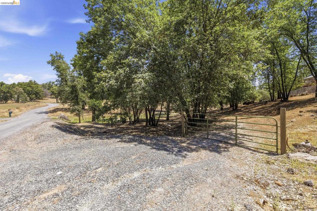 18223 Hershey Rd Property Photo 29