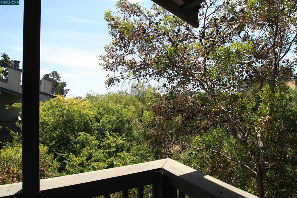 1506 Ashwood Dr Property Photo 9