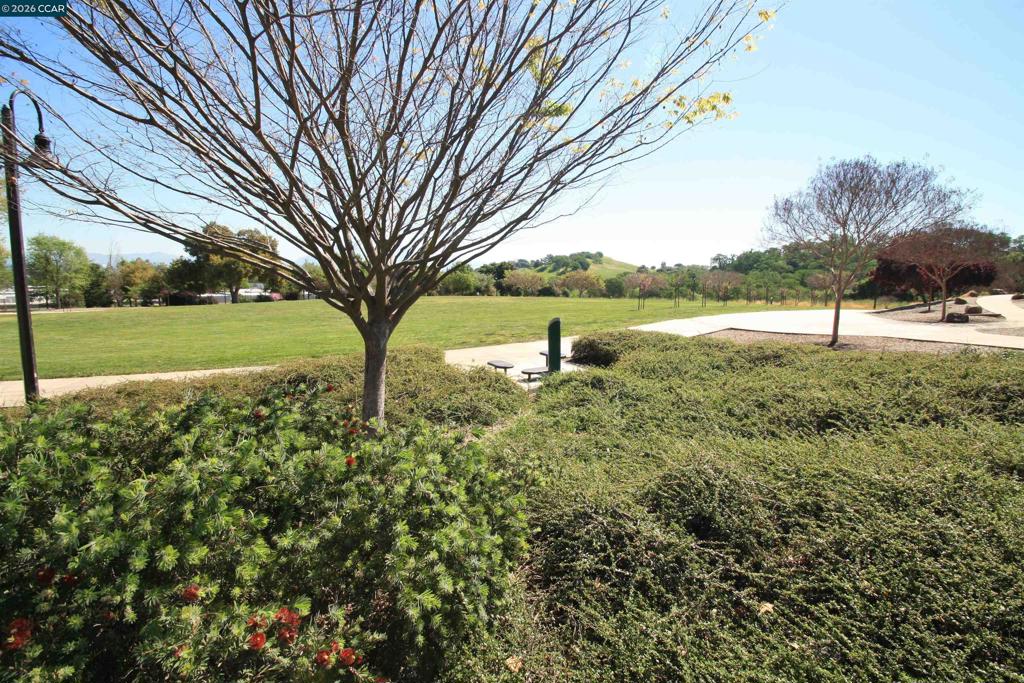 1506 Ashwood Dr Property Photo 34