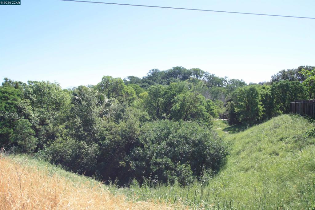 1506 Ashwood Dr Property Photo 41