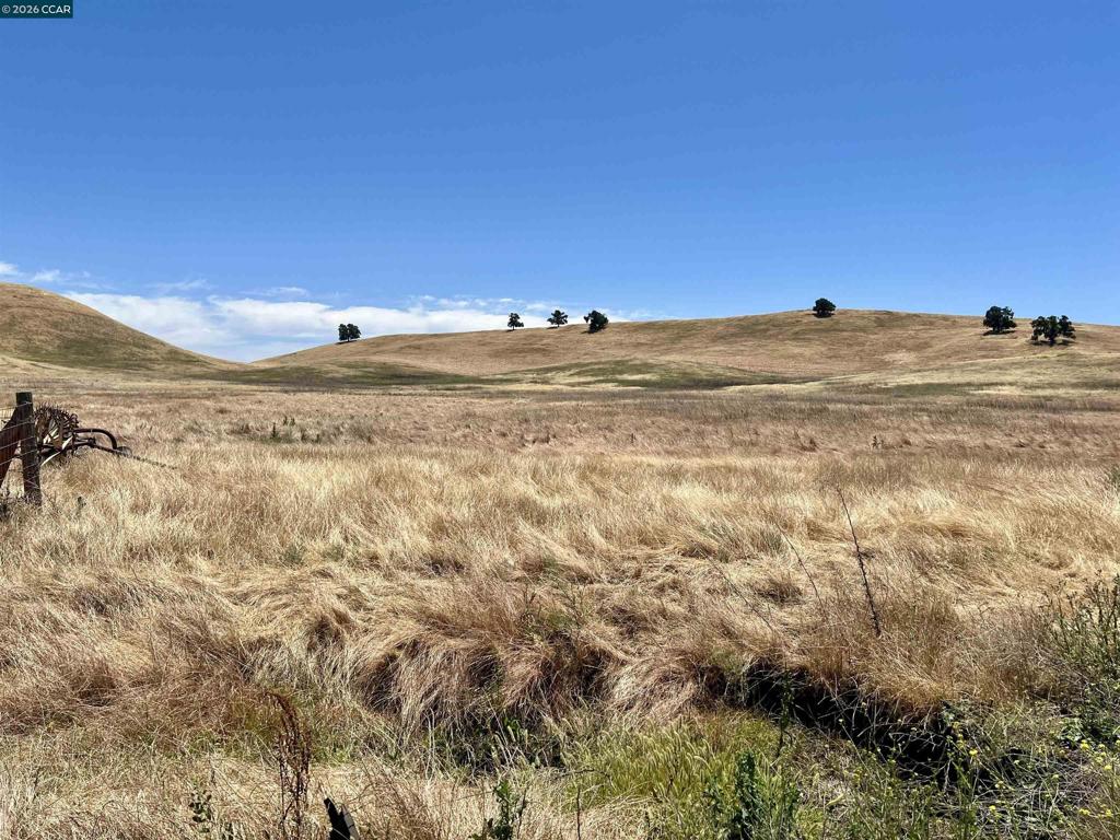 Briones Valley Rd Property Photo 27