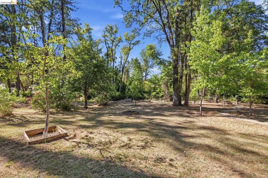 19015 Apple Valley Dr Property Photo 31