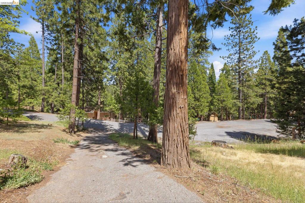 24255 Black Oak Ct Property Photo 45