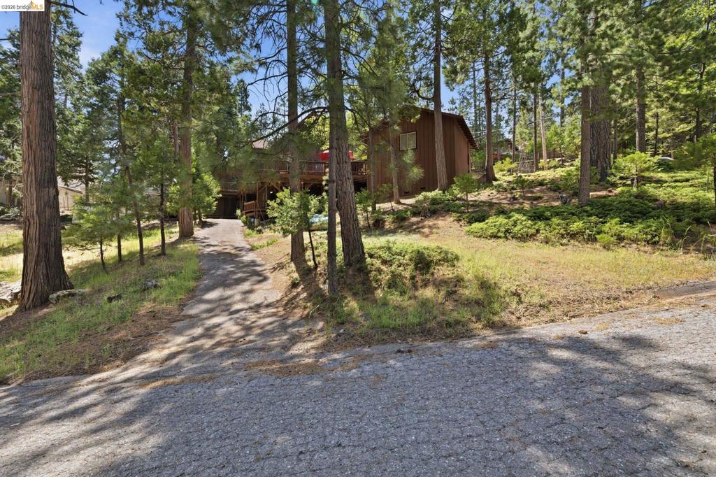24255 Black Oak Ct Property Photo 47