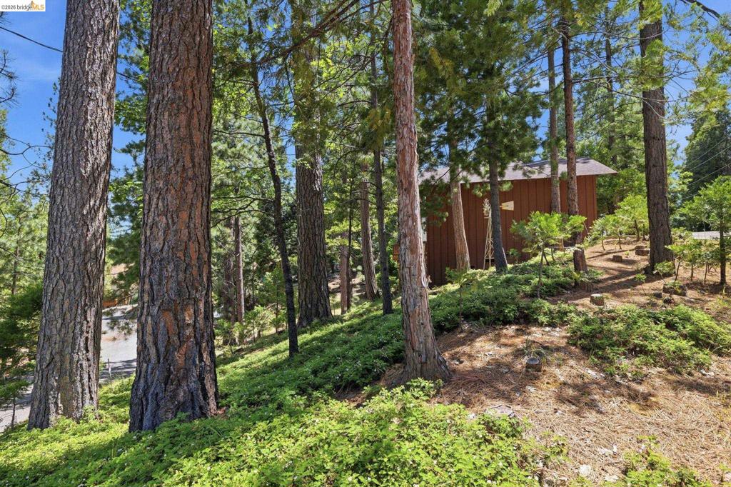 24255 Black Oak Ct Property Photo 49