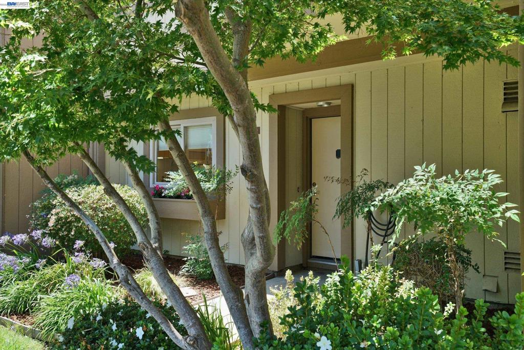 1175 Island Dr Property Photo 2