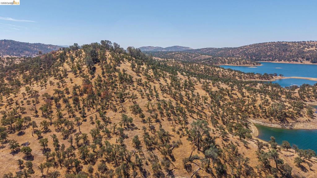 240 Ac Abeto/cavaleiri Ranch Rd. Property Photo 13