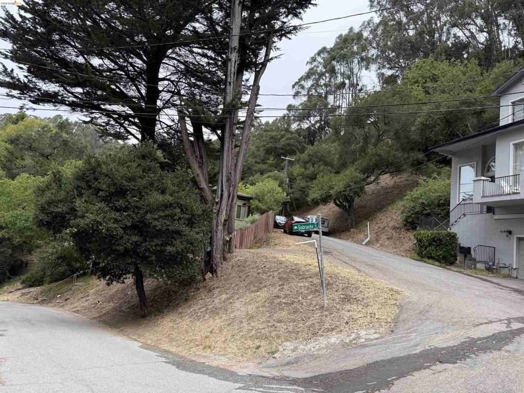 7243 Thorndale Drive Property Photo 13