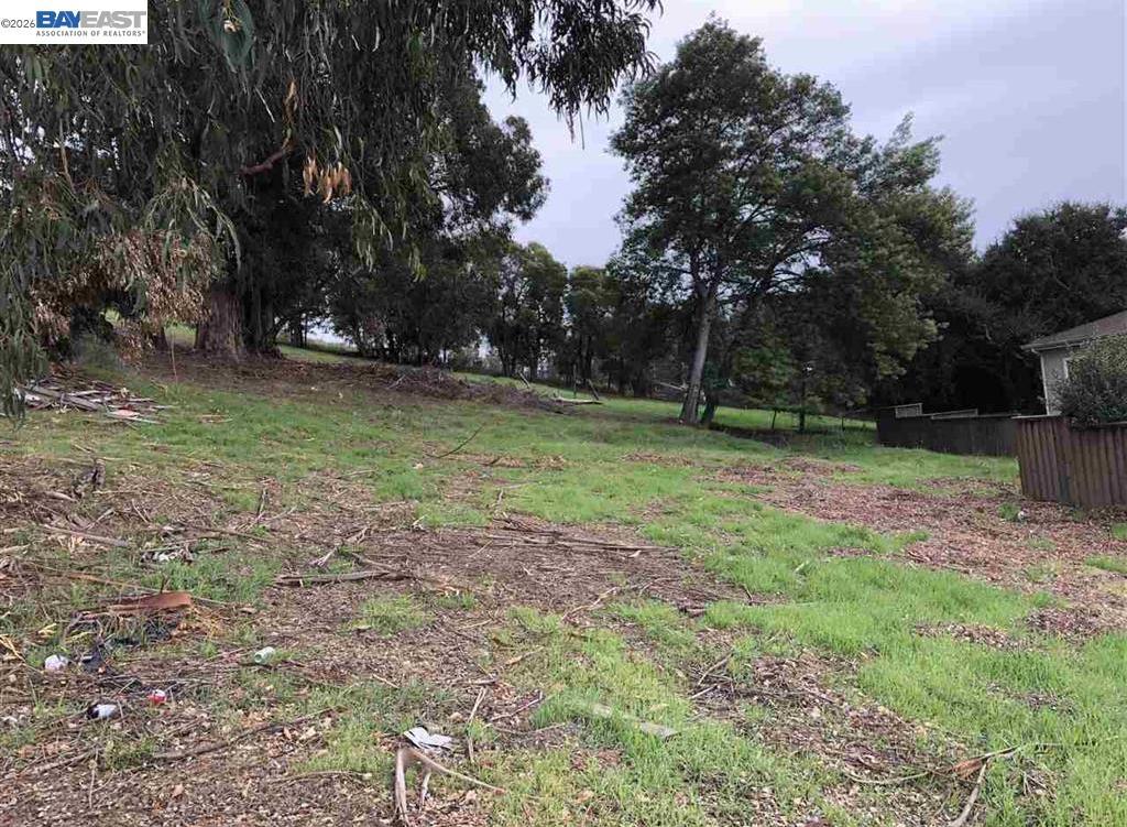 26660 Hayward Blvd Property Photo 8