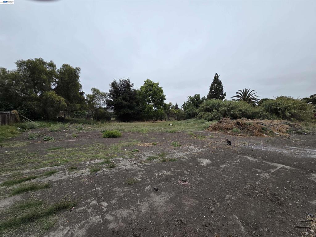 22329 S Garden Ave Property Photo 6