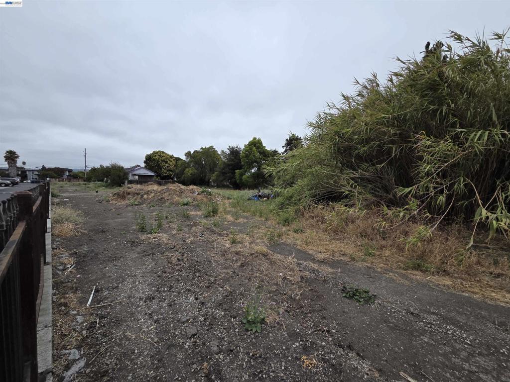 22329 S Garden Ave Property Photo 7
