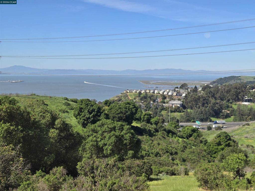 116 Bayhurst Dr Property Photo 41