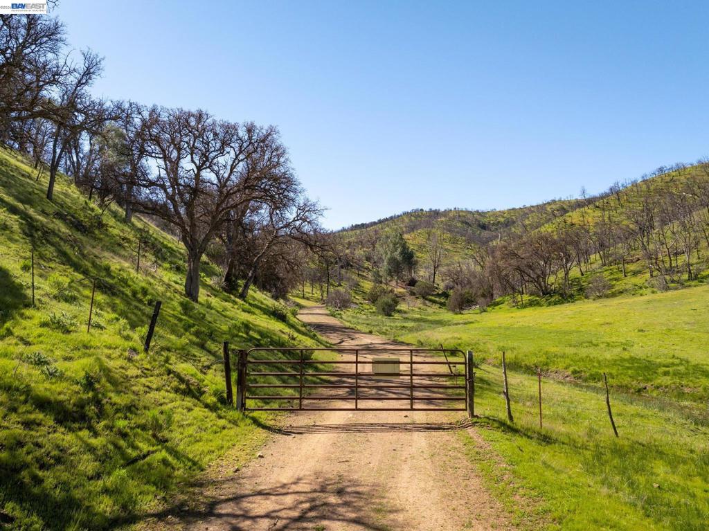 15676 W Corral Hollow Rd Property Photo 1