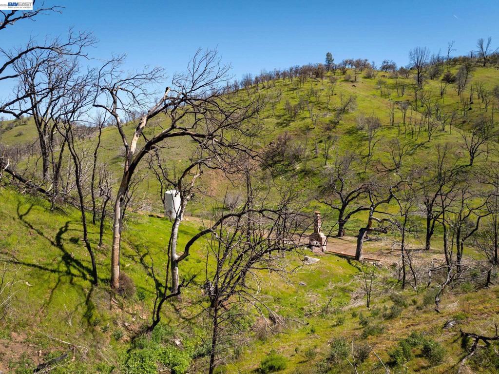 15676 W Corral Hollow Rd Property Photo 5